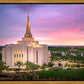 Gilbert Pink Sunrise