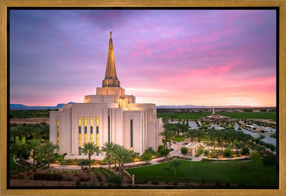 Gilbert Pink Sunrise