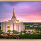 Gilbert Pink Sunrise