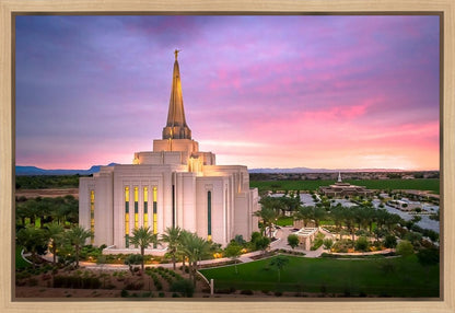 Gilbert Pink Sunrise