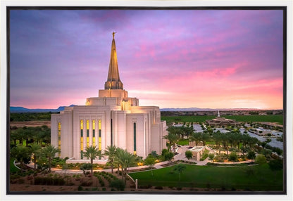 Gilbert Pink Sunrise