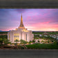 Gilbert Pink Sunrise