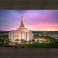 Gilbert Pink Sunrise