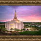 Gilbert Pink Sunrise
