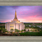 Gilbert Pink Sunrise