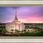 Gilbert Pink Sunrise