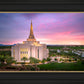 Gilbert Pink Sunrise