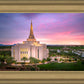 Gilbert Pink Sunrise