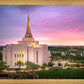 Gilbert Pink Sunrise