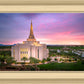 Gilbert Pink Sunrise