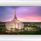 Gilbert Pink Sunrise