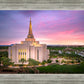 Gilbert Pink Sunrise