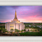 Gilbert Pink Sunrise