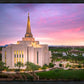 Gilbert Pink Sunrise