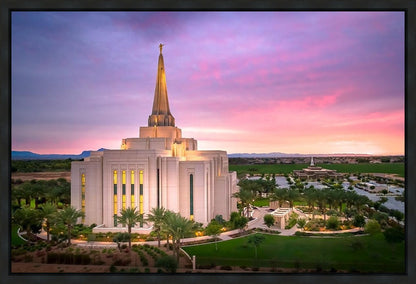 Gilbert Pink Sunrise