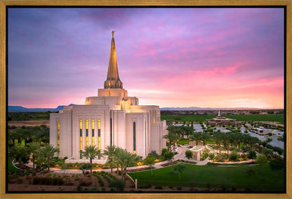 Gilbert Pink Sunrise