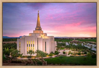 Gilbert Pink Sunrise