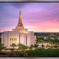 Gilbert Pink Sunrise