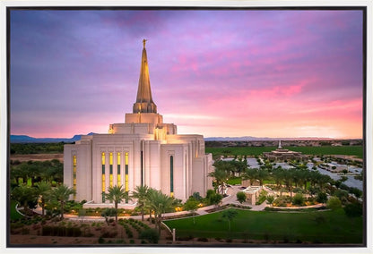 Gilbert Pink Sunrise