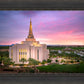 Gilbert Pink Sunrise