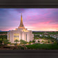 Gilbert Pink Sunrise