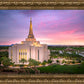 Gilbert Pink Sunrise