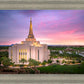 Gilbert Pink Sunrise