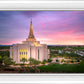 Gilbert Pink Sunrise
