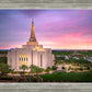 Gilbert Pink Sunrise