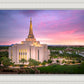Gilbert Pink Sunrise
