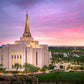 Gilbert Pink Sunrise