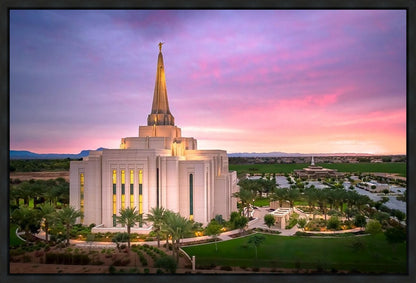 Gilbert Pink Sunrise