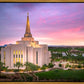 Gilbert Pink Sunrise