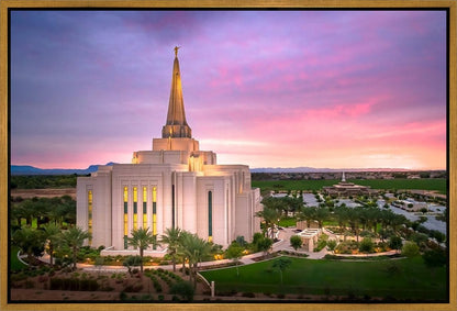 Gilbert Pink Sunrise