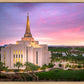 Gilbert Pink Sunrise