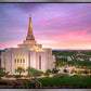Gilbert Pink Sunrise
