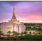 Gilbert Pink Sunrise
