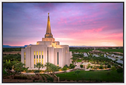 Gilbert Pink Sunrise