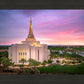 Gilbert Pink Sunrise
