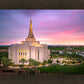 Gilbert Pink Sunrise