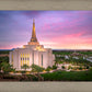 Gilbert Pink Sunrise