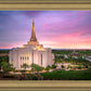 Gilbert Pink Sunrise