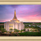 Gilbert Pink Sunrise