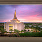 Gilbert Pink Sunrise