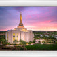 Gilbert Pink Sunrise