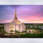 Gilbert Pink Sunrise