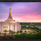 Gilbert Pink Sunrise