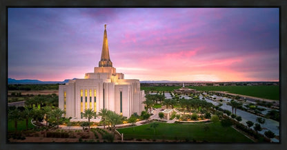 Gilbert Pink Sunrise