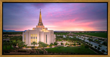 Gilbert Pink Sunrise