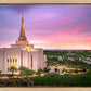 Gilbert Pink Sunrise